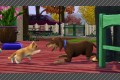 The Sims 3: Pets / The Sims 3: Домашние животные