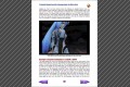 Gamespot Guide - screenshot 5