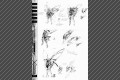 page31