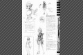 page23