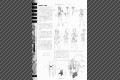 page24