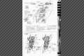 page36