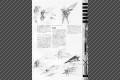 page32