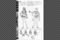 page55