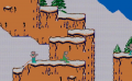 NES