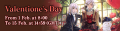 Valentione's Day '23