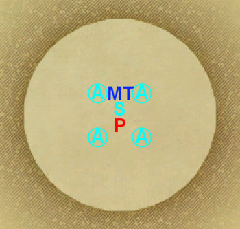 20141113160050_c8aeda90.png