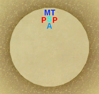 20141205132728_a37274fe.png